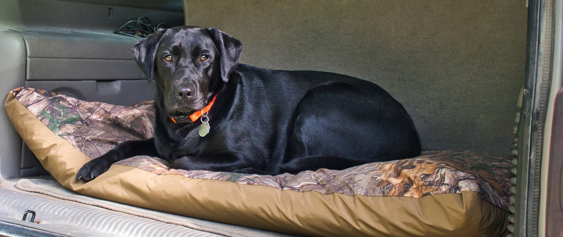 Thermabed - Best Pet Bed